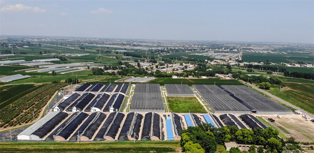 葫芦岛航拍 (1).jpg