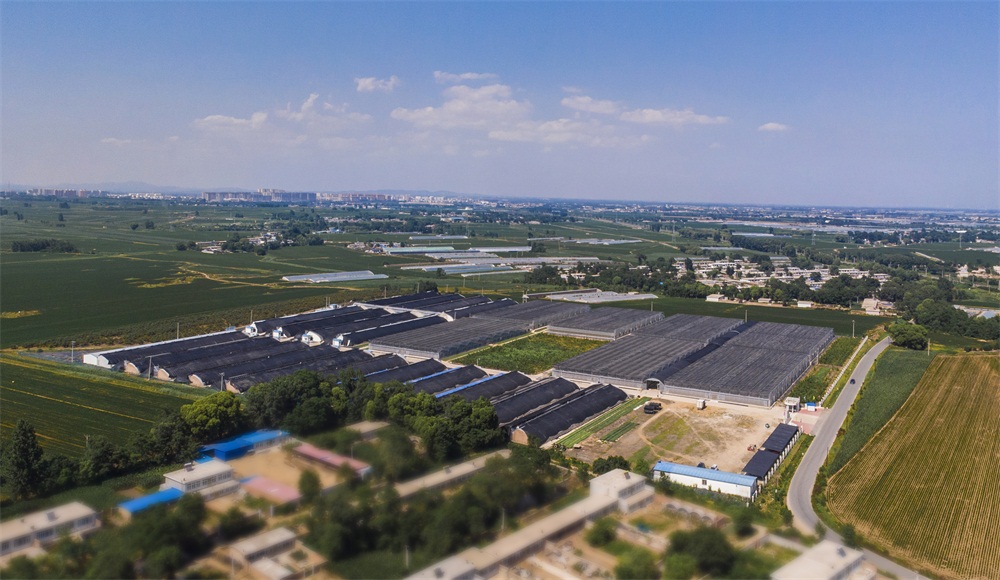 葫芦岛航拍 (2).jpg