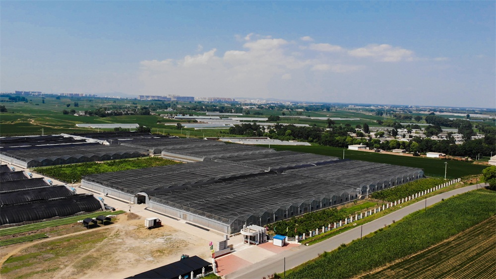 葫芦岛航拍 (3).jpg