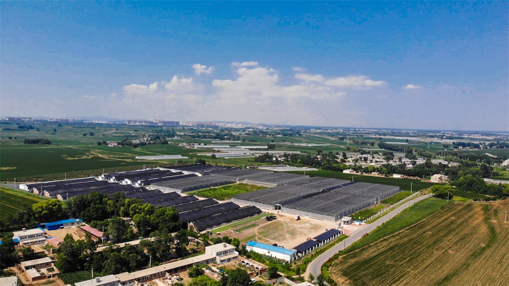 葫芦岛航拍 (4).jpg