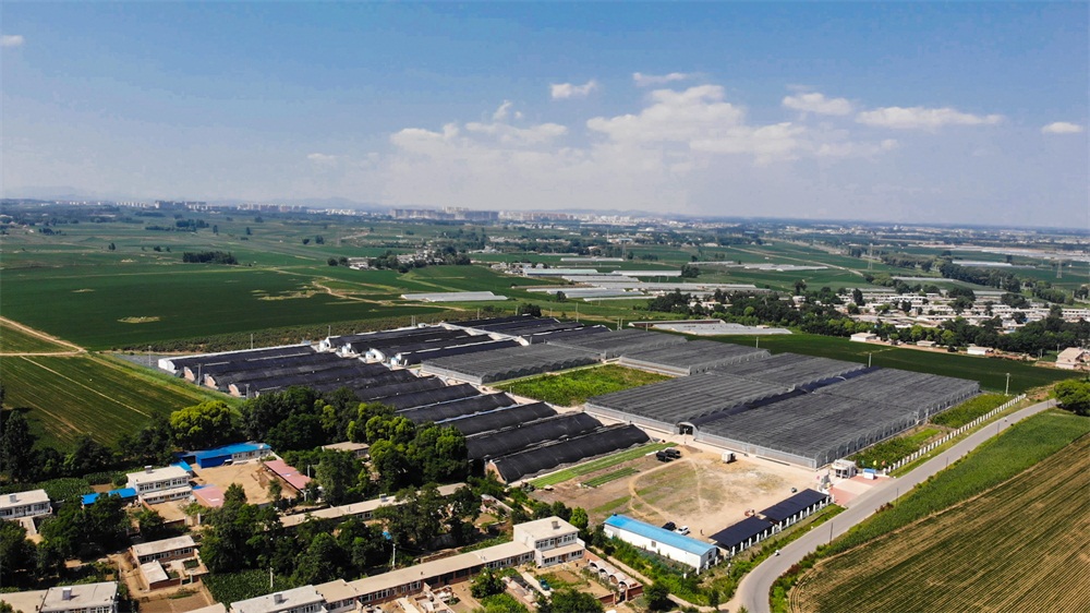 葫芦岛航拍 (5).jpg