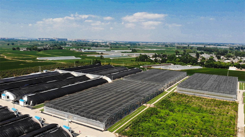 葫芦岛航拍 (6).jpg