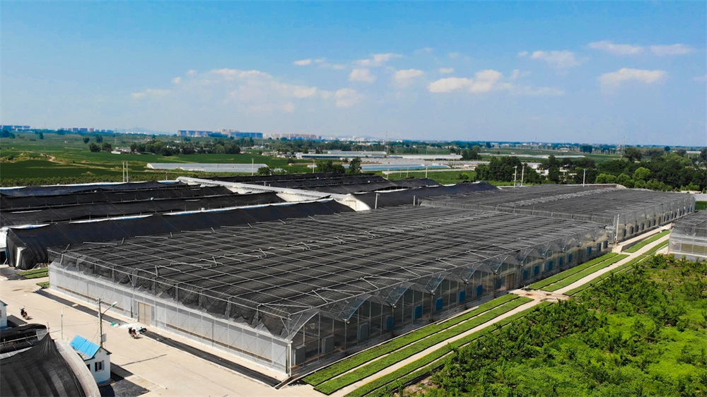 葫芦岛航拍 (7).jpg