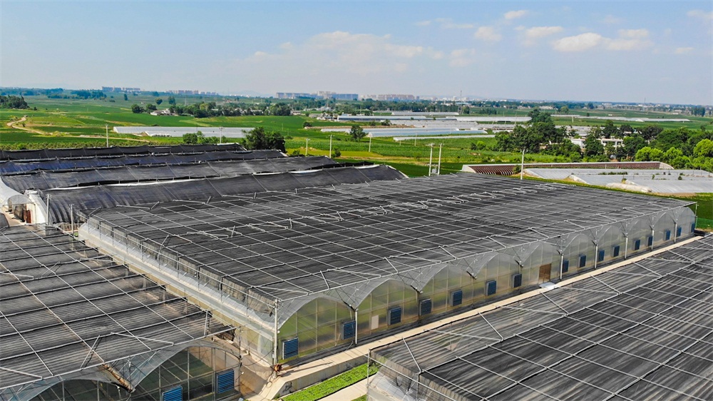 葫芦岛航拍 (8).jpg