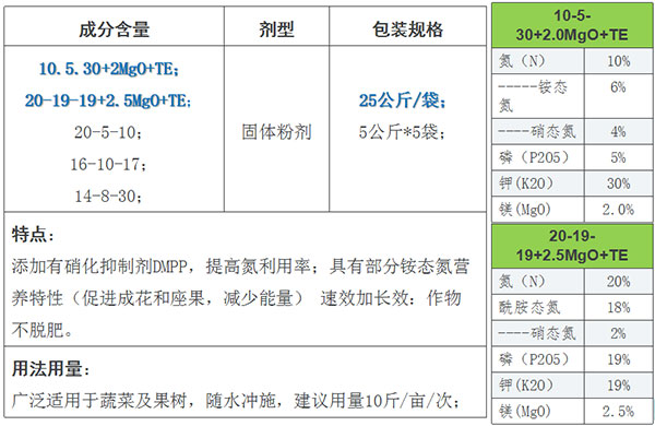 3德国康朴-诺泰克(2).jpg